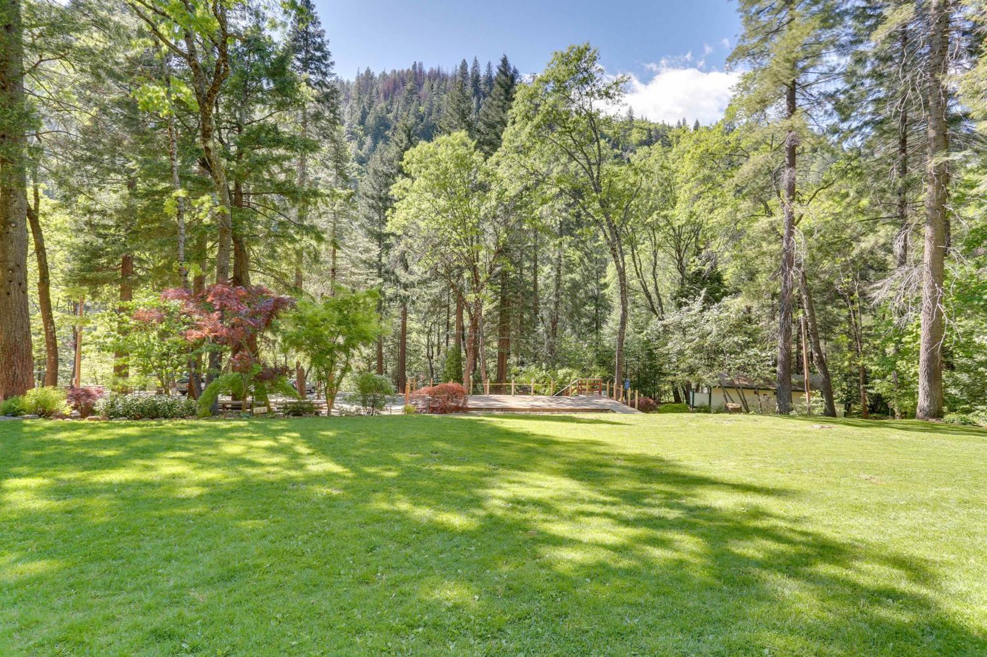 Dunsmuir Apartment About 17 Mi To Mt Shasta Ski Park! Ngoại thất bức ảnh